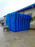 ����ʡ���(y��ng)���ۖ|�h�����(zh��n)ĳ�t(y��)ˎ��˾��ُ(g��u)5000�������бP(p��n)